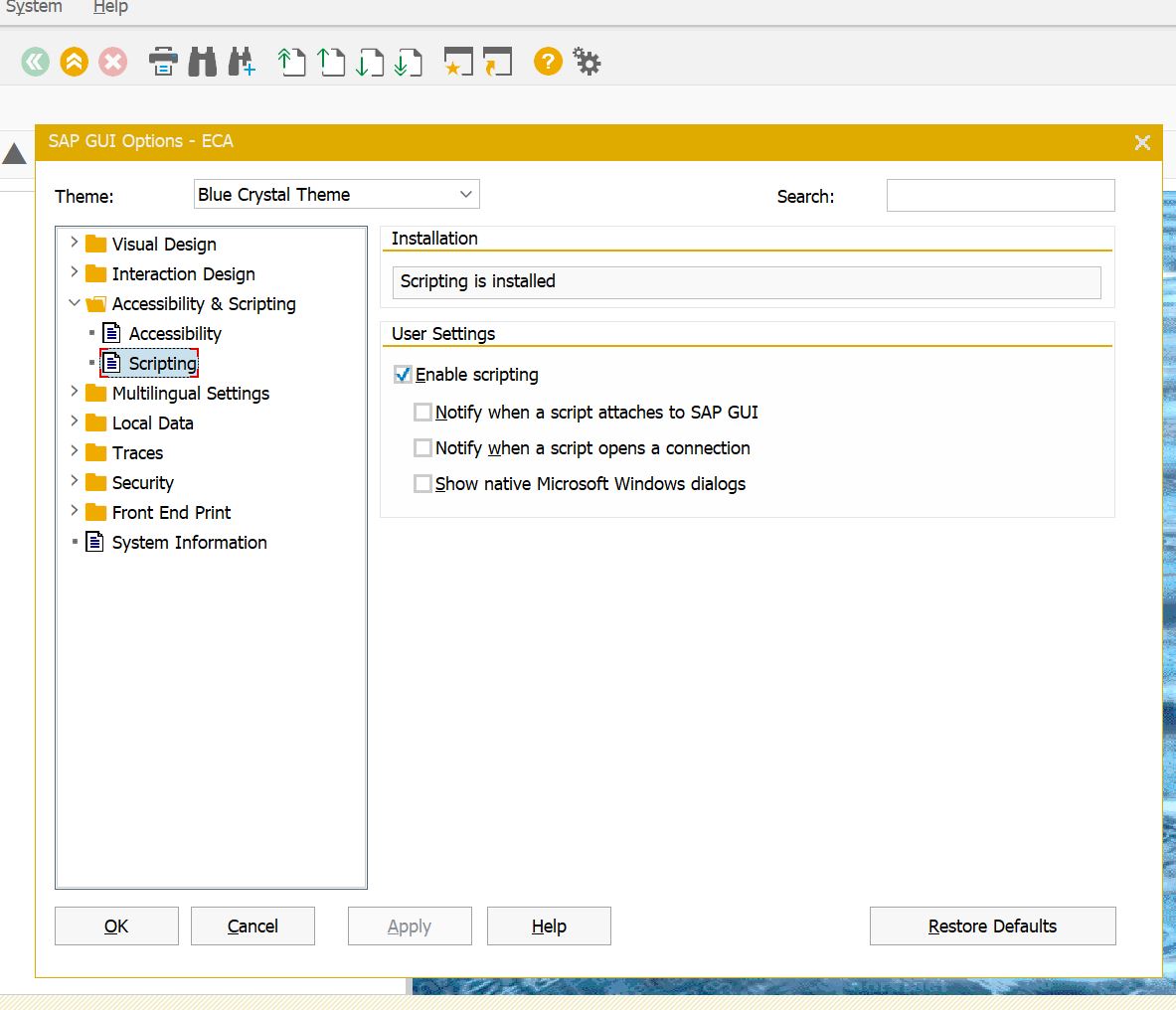 Activer le scripting dans SAP GUI Options